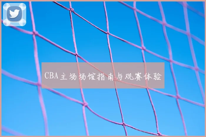 CBA主场场馆指南与观赛体验